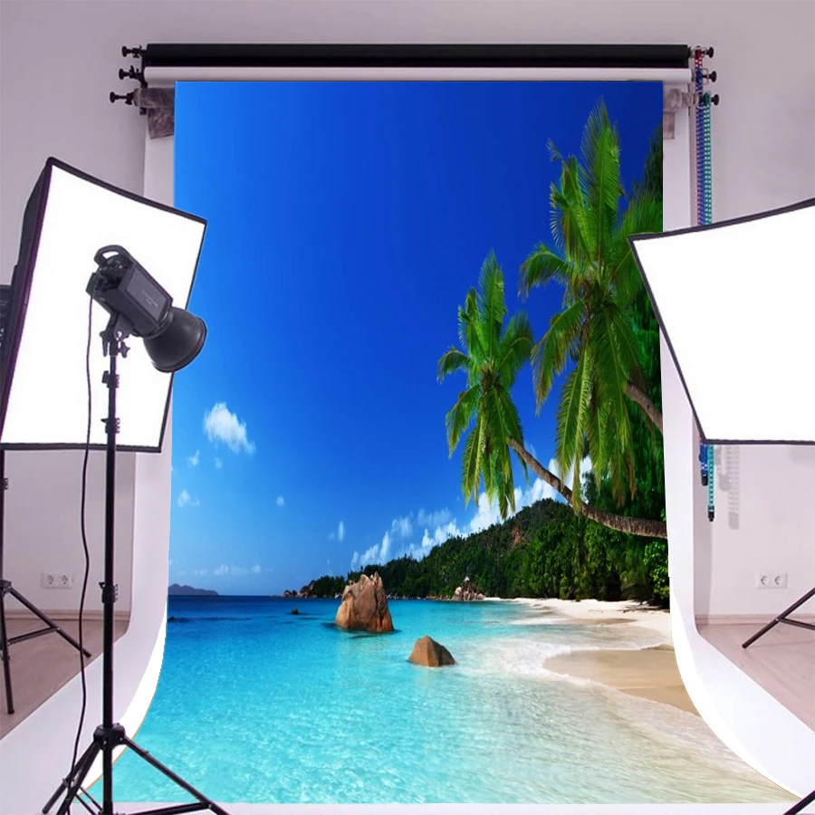 Laeacco Праздничная Вечеринка голубое небо приморский пляж пальмы дерево фон для