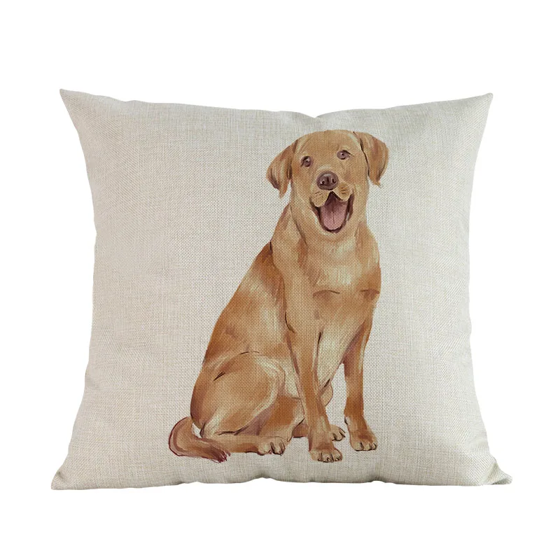 labrador