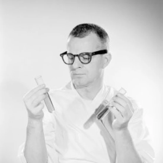 Male scientist examining test tubes with liquid Poster Print (24 x 36)
