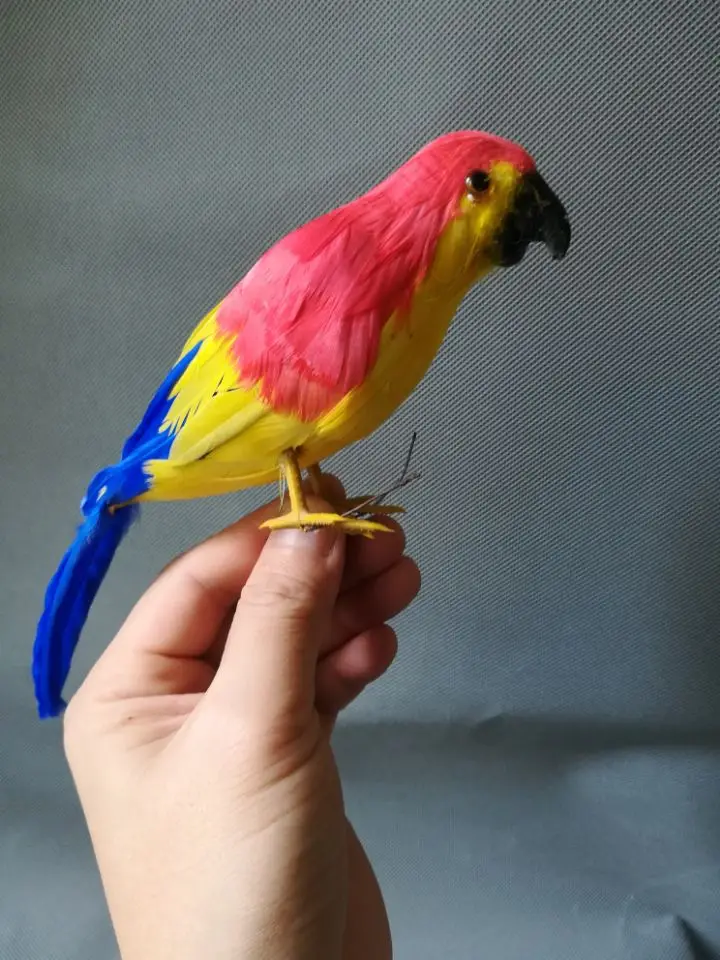 about 20cm real life Bird beautiful feathers parrot bird model home decoration filming prop decoration toy gift h1050
about 20cm real life Bird beautiful feathers parrot bird model home decoration filming prop decoration toy gift h1050