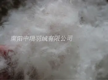800 fill power Best quality bulk filling of 95 white goose down jacket coat semi filling pillow quilt cushion sofa mattress pad
800 fill power Best quality bulk filling of 95 white goose down jacket coat semi filling pillow quilt cushion sofa mattress pad