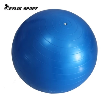 Hot Selling High Quality Home Balance Trainer Yoga Pilates Fitness GYM Exercise Ball with Pump Shipping By CPAM
Hot Selling High Quality Home Balance Trainer Yoga Pilates Fitness GYM Exercise Ball with Pump Shipping By CPAM