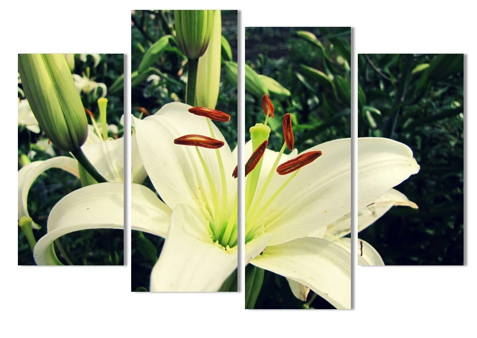 4 Panel Lily Flowers Large Unframed Canvas Print Wall Picture Painting Art Decor Canvas Art Unique Gift For Living Room
4 Panel Lily Flowers Large Unframed Canvas Print Wall Picture Painting Art Decor Canvas Art Unique Gift For Living Room