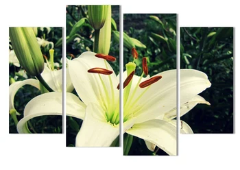 4 Panel Lily Flowers Large Unframed Canvas Print Wall Picture Painting Art Decor Canvas Art Unique Gift For Living Room
4 Panel Lily Flowers Large Unframed Canvas Print Wall Picture Painting Art Decor Canvas Art Unique Gift For Living Room