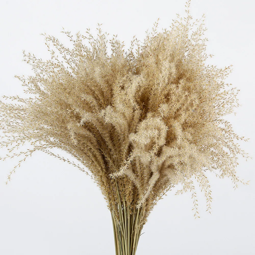 10 Pcs Wedding deco dried natural phragmites flowers bouquets natural dried reed pampas flowers bouquets
10 Pcs Wedding deco dried natural phragmites flowers bouquets natural dried reed pampas flowers bouquets