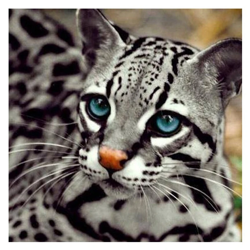 Diamond Painting Special Shaped Diy 5D Partial Drill Cross Stitch Diamond Embroidery Crystal Rhinestone Of Picture Arts Craft
Diamond Painting Special Shaped Diy 5D Partial Drill Cross Stitch Diamond Embroidery Crystal Rhinestone Of Picture Arts Craft