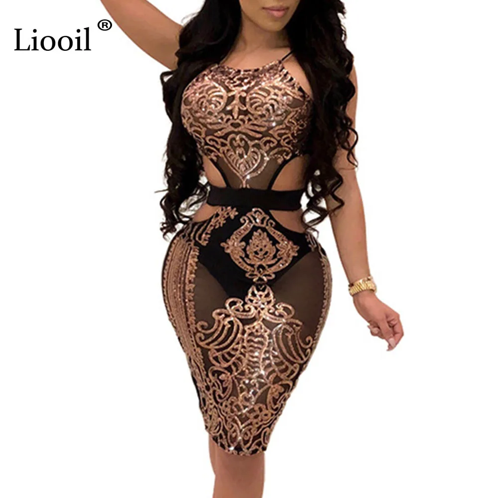 Liooil Sexy Mesh See Through Sequin Halter Mini Dress Women Hollow Out Lace Up Sleeveless Backless Bodycon Club Short Dresses
Liooil Sexy Mesh See Through Sequin Halter Mini Dress Women Hollow Out Lace Up Sleeveless Backless Bodycon Club Short Dresses
