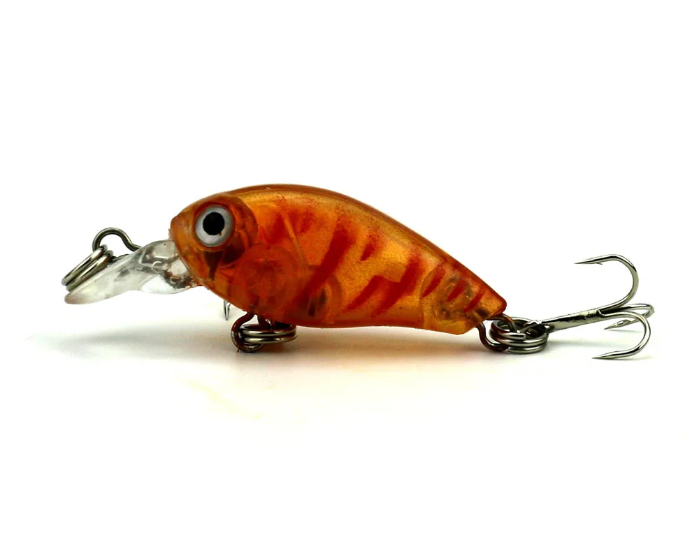 CB005 BAIT (8)