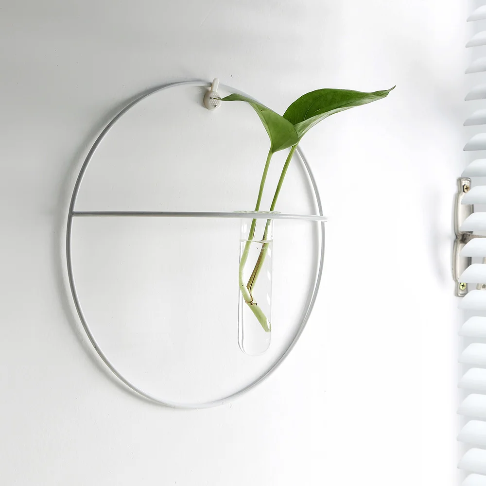Wrought Iron Glass Test Tube Vase Hanging Hydroponic Plant Vase Wall Decoration Wall Hanging Vase Home Decoration
Wrought Iron Glass Test Tube Vase Hanging Hydroponic Plant Vase Wall Decoration Wall Hanging Vase Home Decoration