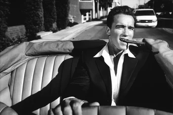 canvas fabric poster custom print Iron Arnold Schwarzenegger PJZK716 for wall art room decor home decoration (frame available)
canvas fabric poster custom print Iron Arnold Schwarzenegger PJZK716 for wall art room decor home decoration (frame available)
