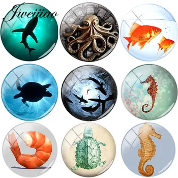 JWEIJIAO Marine Life Glass Cabochon Dome Ocean Sea Animal Art Shark Crab Octopus Turtle Fish Charms DIY Jewelry Findings 
JWEIJIAO Marine Life Glass Cabochon Dome Ocean Sea Animal Art Shark Crab Octopus Turtle Fish Charms DIY Jewelry Findings