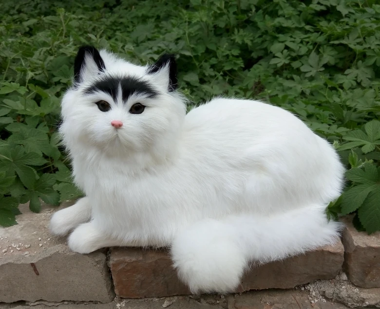 30x16CM simulation white prone cat model, polyethylene&furs handicraft Figurines home decoration toy gift a2748
30x16CM simulation white prone cat model, polyethylene&furs handicraft Figurines home decoration toy gift a2748