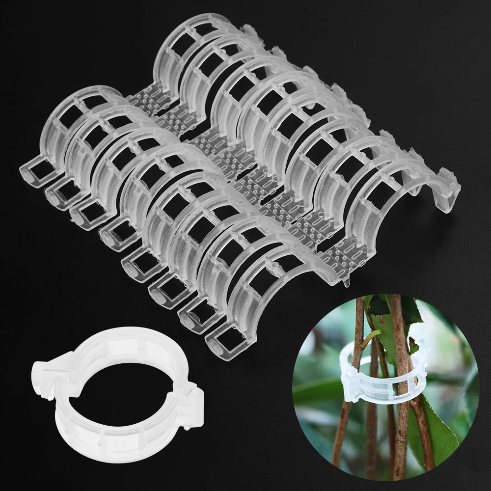 50/100pcs Durable Garden Greenhouse Vegetables 25mm Plastic Plant Support Clips For Plants Hanging Vine Garden Ornament bonsai
50/100pcs Durable Garden Greenhouse Vegetables 25mm Plastic Plant Support Clips For Plants Hanging Vine Garden Ornament bonsai