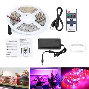 5M 5050 SMD LED Grow Light Strip Kit 12V Full Spectrum Waterproof Plant Phyto Growing Lamps Red Blue 5:1 Christmas Decoration
5M 5050 SMD LED Grow Light Strip Kit 12V Full Spectrum Waterproof Plant Phyto Growing Lamps Red Blue 5:1 Christmas Decoration