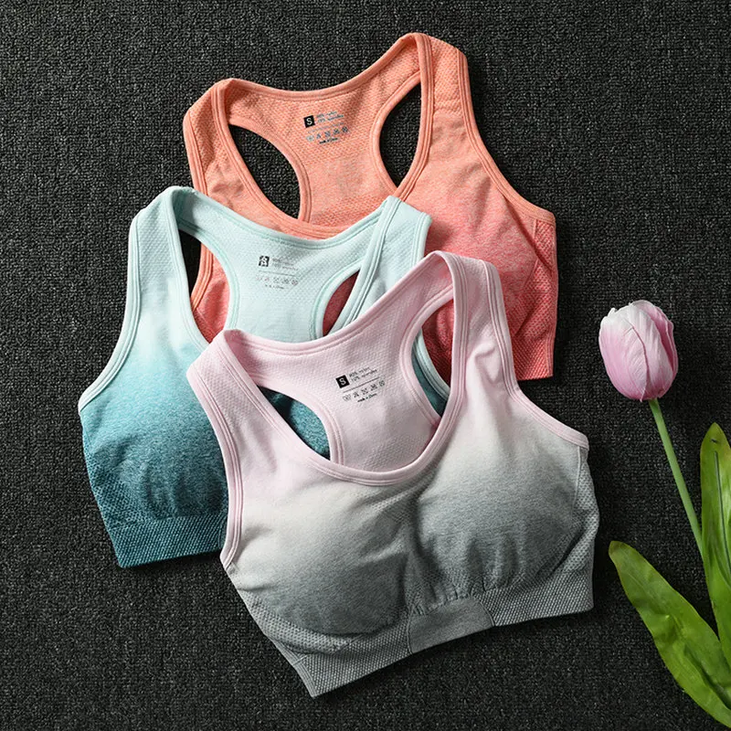 Ombre Energy Seamless Sports Bra for Women Push Up Yoga Bras Gym Crop Top Orange Racerback Workout Bra Fitness Tops Active Wear
Ombre Energy Seamless Sports Bra for Women Push Up Yoga Bras Gym Crop Top Orange Racerback Workout Bra Fitness Tops Active Wear