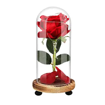 USB Rechargeable LED Preserved Dry Rose Flower in Glass Cover Mothers Day Gift Fashion
USB Rechargeable LED Preserved Dry Rose Flower in Glass Cover Mothers Day Gift Fashion