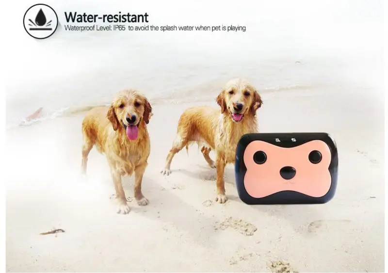 Waterproof Smart Pets GPS Tracker 4 Frequency GPS LBS Dual Location Remote Calling GPS Tracker
Waterproof Smart Pets GPS Tracker 4 Frequency GPS LBS Dual Location Remote Calling GPS Tracker