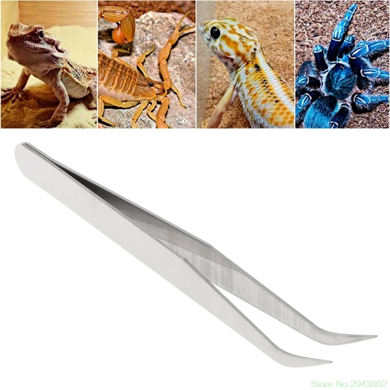New Stainless Steel Clip Cleaning Tweezers Pet Ear Grooming Reptile Feeding Supplies Drop Shipping Support
New Stainless Steel Clip Cleaning Tweezers Pet Ear Grooming Reptile Feeding Supplies Drop Shipping Support