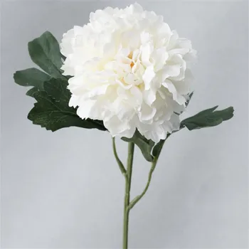 Fake Single Stem Peony Simulation Peonia full Open for Wedding Showcase Home Party Xmas Decorative Artificial Flowers
Fake Single Stem Peony Simulation Peonia full Open for Wedding Showcase Home Party Xmas Decorative Artificial Flowers