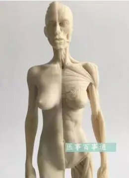 HTB1D0DCGuOSBuNjy0Fdq6zDnVXaj