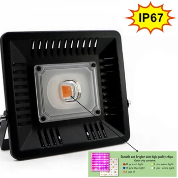 IP67 water proof Full spectrum LED Grow light 50W 100W full power AC110V 220V LED flood Growing lamp 100W LED grow light
IP67 water proof Full spectrum LED Grow light 50W 100W full power AC110V 220V LED flood Growing lamp 100W LED grow light