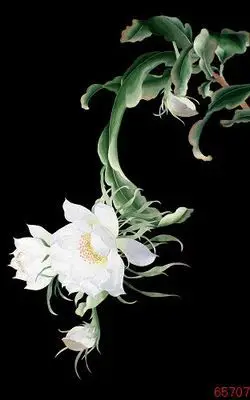 DIY Unfinished 100% Mulberry Silk Suzhou Embroidery Patterns Sets Handmade Needlework Kits Epiphyllum
DIY Unfinished 100% Mulberry Silk Suzhou Embroidery Patterns Sets Handmade Needlework Kits Epiphyllum