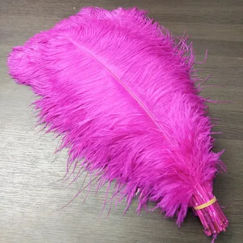 Gorgeous 10PCS/lot Beautiful high-quality Rose red ostrich feathers 40-45 cm / 16-18 inch, wedding feather decorations
Gorgeous 10PCS/lot Beautiful high-quality Rose red ostrich feathers 40-45 cm / 16-18 inch, wedding feather decorations