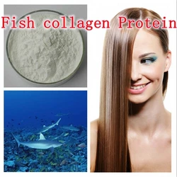 250gram High Quality Food/Cosmetic Grade Fish collagen Protein Content >90% free shipping