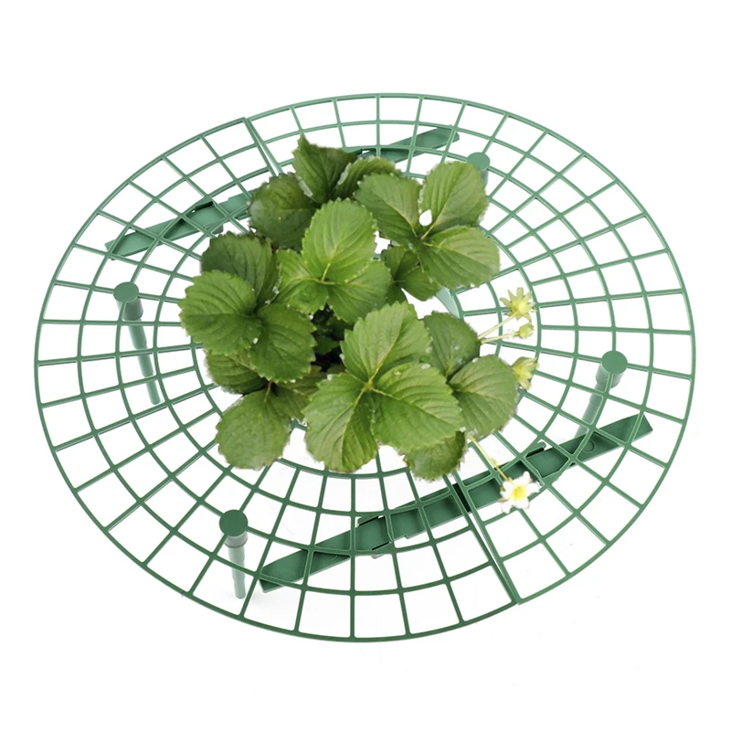 Strawberry Frame Holder Balcony Planting Rack Fruit Support Plant Flower Climbing Vine Pillar Gardening Stand
Strawberry Frame Holder Balcony Planting Rack Fruit Support Plant Flower Climbing Vine Pillar Gardening Stand