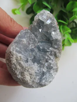 Natural Quartz Crystals Rare Rock Kyanite Natural Stones Minerals Cornucopia For Collection 224g
Natural Quartz Crystals Rare Rock Kyanite Natural Stones Minerals Cornucopia For Collection 224g