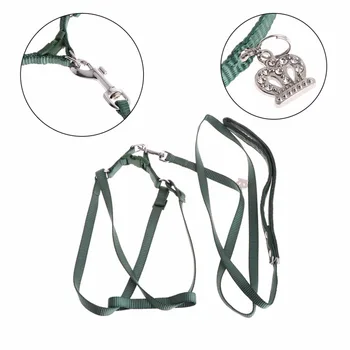 1Pc S/L Size Parrot Bird Leash Outdoor Adjustable Harness Training Rope Anti Bite Flying Band Small Animals Traction Leashes C42
1Pc S/L Size Parrot Bird Leash Outdoor Adjustable Harness Training Rope Anti Bite Flying Band Small Animals Traction Leashes C42