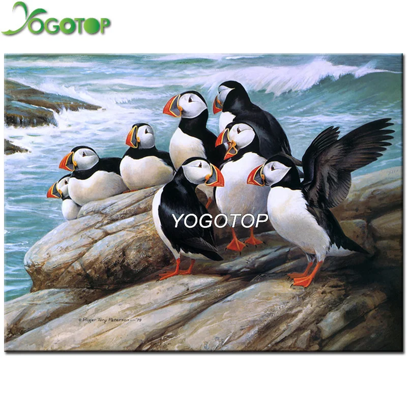 YOGOTOP Diy Diamond Painting Cross Stitch Kits 5D Square Diamond Embroidery Animal puffin Diamond Mosaic Needlework VD955
YOGOTOP Diy Diamond Painting Cross Stitch Kits 5D Square Diamond Embroidery Animal puffin Diamond Mosaic Needlework VD955
