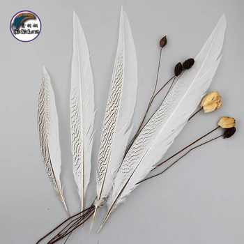10-32 Inch(25-80 cm)Wholesale High Quality Dark Color Natural Pheasant Tail Carnival Feathers for Decoration 
10-32 Inch(25-80 cm)Wholesale High Quality Dark Color Natural Pheasant Tail Carnival Feathers for Decoration