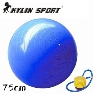 2015 Hot Selling GYM Yoga Pilates Fitness with Pump Exercise Ball Home Balance Train free Shipping
2015 Hot Selling GYM Yoga Pilates Fitness with Pump Exercise Ball Home Balance Train free Shipping