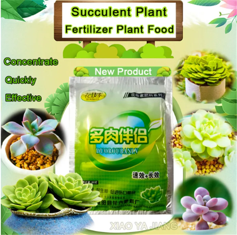 Succulents Bonsai Plant Food Compound Fertilizer medicinal hormone regulators growing recovery aid Garden sufficient nutrient
Succulents Bonsai Plant Food Compound Fertilizer medicinal hormone regulators growing recovery aid Garden sufficient nutrient