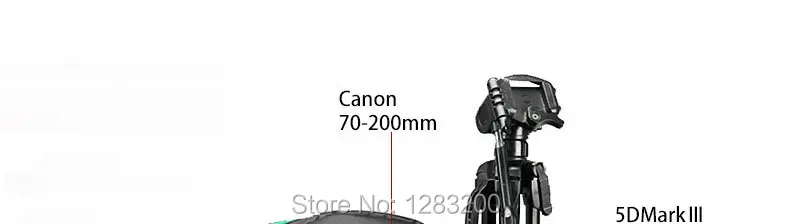 3597215994_1611564951