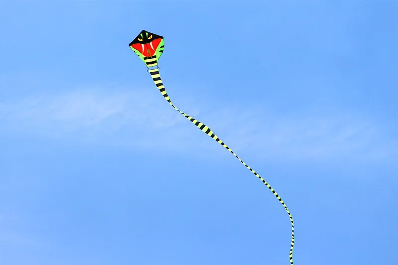 302