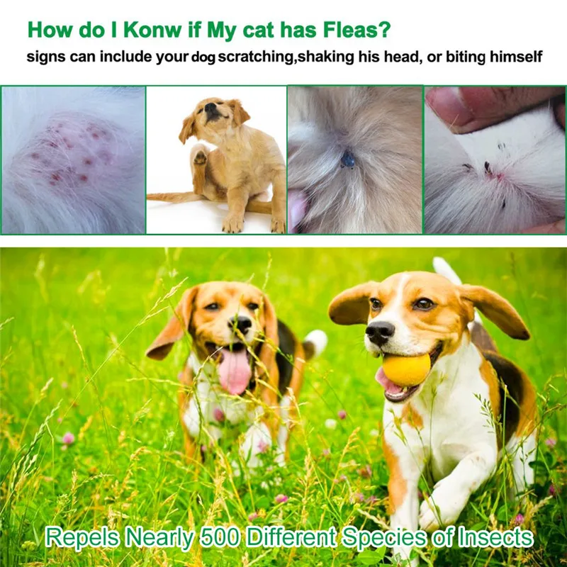Outdoor Pet Dog collar dog tag seat belt bandana glow in the dark Anti Flea Ticks Mosquitoes Protective Adjustable PET Collar
Outdoor Pet Dog collar dog tag seat belt bandana glow in the dark Anti Flea Ticks Mosquitoes Protective Adjustable PET Collar