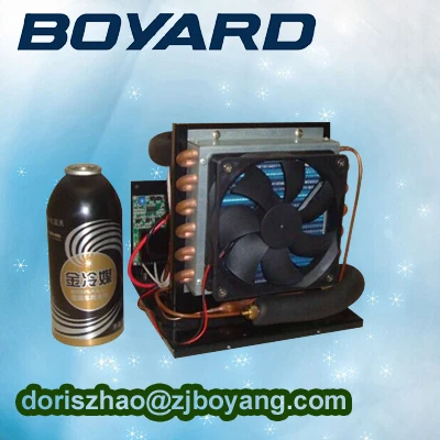 R134a 12v 24v mini condensing unit refrigeration system for Household Portable Mini Ac