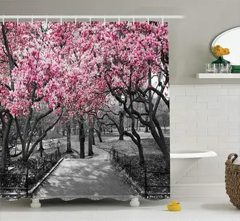 

NYC Decor Collection Blossoms In Central Park Cherry Bloom Trees Forest Spring Springtime Landscape Picture