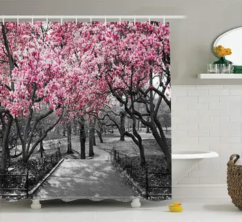NYC Decor Collection Blossoms In Central Park Cherry Bloom Trees Forest Spring Springtime Landscape Picture
NYC Decor Collection Blossoms In Central Park Cherry Bloom Trees Forest Spring Springtime Landscape Picture