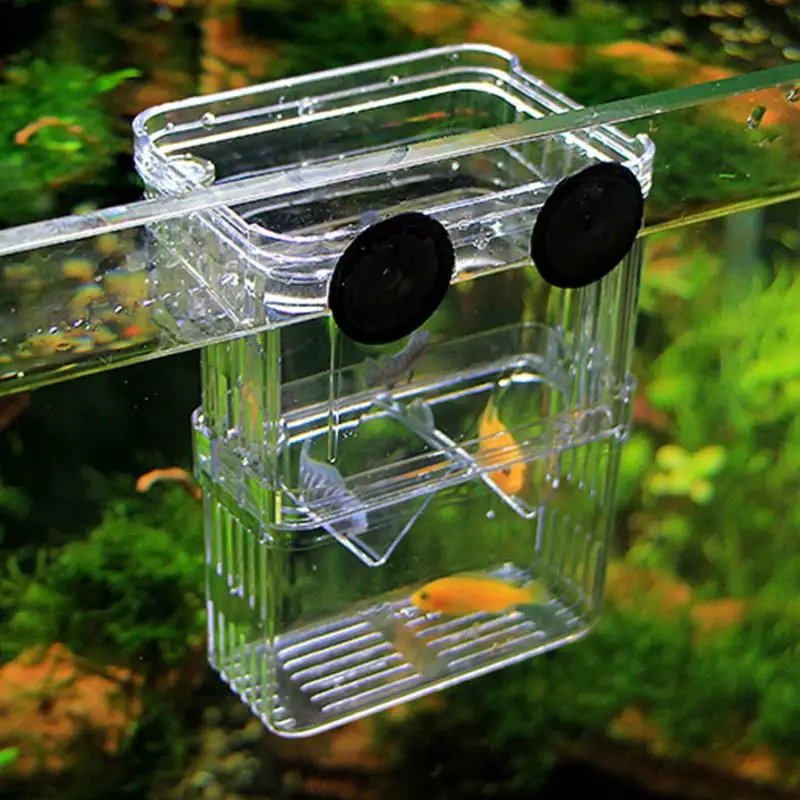 Aquarium incubator small fish isolation box net tropical fish breeding production hatching fish trough breeding box fish
Aquarium incubator small fish isolation box net tropical fish breeding production hatching fish trough breeding box fish