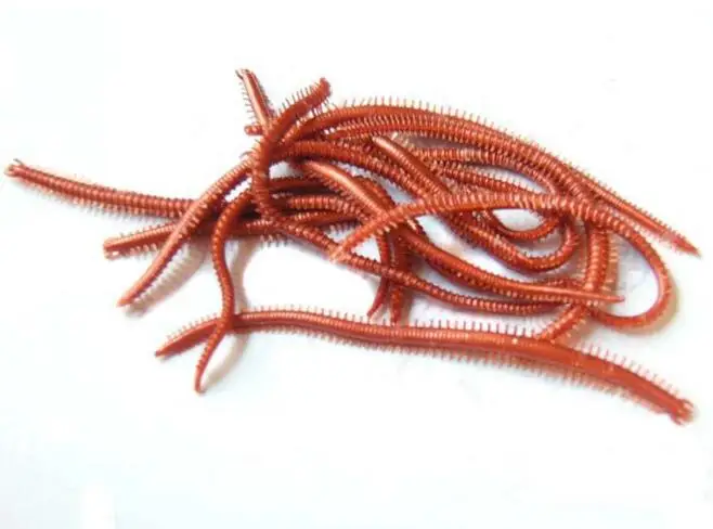 15pcs/bag 13.5cm 1.82g earthworm fishing lure shad fishing worm swimbait soft lure flying fishing bait trout lure free shipping
15pcs/bag 13.5cm 1.82g earthworm fishing lure shad fishing worm swimbait soft lure flying fishing bait trout lure free shipping