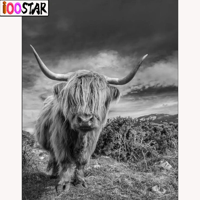 5d diy diamond painting Scottish highland cow full square/Round Diamond embroidery Cross stitch Mosaic Rhinestone wall crafts
5d diy diamond painting Scottish highland cow full square/Round Diamond embroidery Cross stitch Mosaic Rhinestone wall crafts
