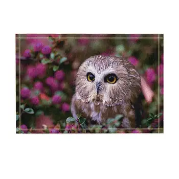 Safari Decor, Wild Animal Owl Sitting in the Flowers Bath Rugs, Non-Slip Funny Indoor Outdoor Doormat
Safari Decor, Wild Animal Owl Sitting in the Flowers Bath Rugs, Non-Slip Funny Indoor Outdoor Doormat