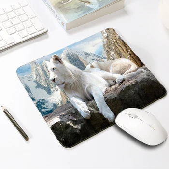 Mairuige Funny Animals Pattern Mousepad Dog Cat Pet Art Printing Tabletsmats Size 290x250x2MM Rectangle Unlock Edge Gaming Mats
Mairuige Funny Animals Pattern Mousepad Dog Cat Pet Art Printing Tabletsmats Size 290x250x2MM Rectangle Unlock Edge Gaming Mats