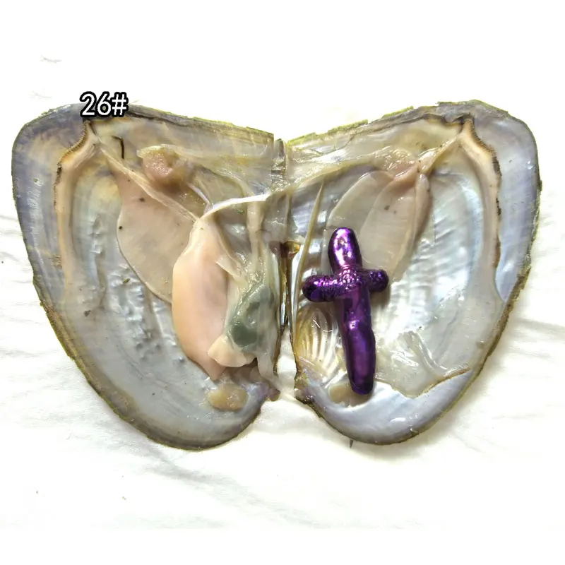 20pcs AA+ Single 15-40mm Violet Natural Baroque Shaped Cross Pearl with Vacuum Packed Oyster Fresh Pearl in Oyster
20pcs AA+ Single 15-40mm Violet Natural Baroque Shaped Cross Pearl with Vacuum Packed Oyster Fresh Pearl in Oyster