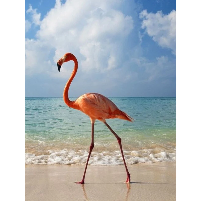 5D Diy Daimond Painting Flamingos 3D Diamond Painting Round Rhinestones Full Diamant Painting Embroidery animal home Decoration
5D Diy Daimond Painting Flamingos 3D Diamond Painting Round Rhinestones Full Diamant Painting Embroidery animal home Decoration