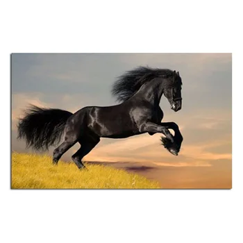 Black Horse 60x37cm Full drill diamond embroidery 3d diamond cross stitch fashion diamond mosaic pictures of rhinestones
Black Horse 60x37cm Full drill diamond embroidery 3d diamond cross stitch fashion diamond mosaic pictures of rhinestones