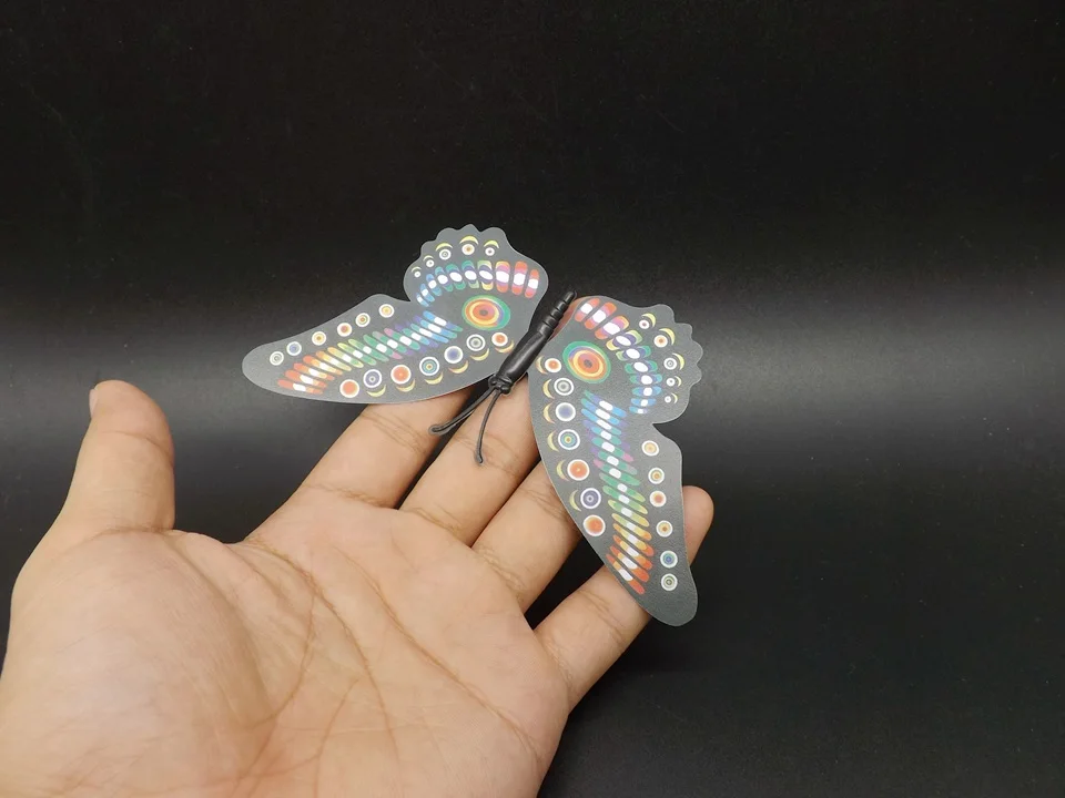 I199-Butterfly (1)